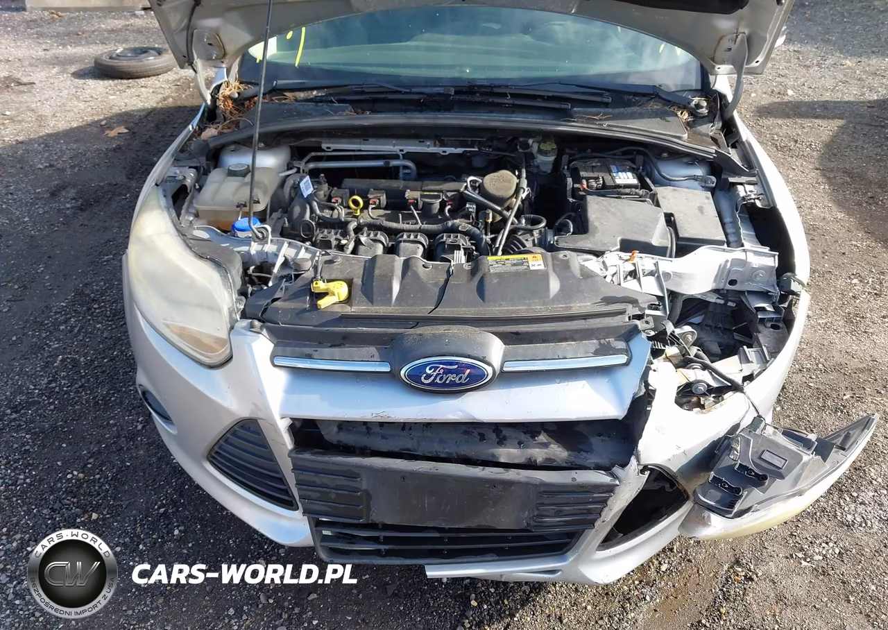 2013 Ford Focus Se VIN:1FADP3F27DL360271 - 10