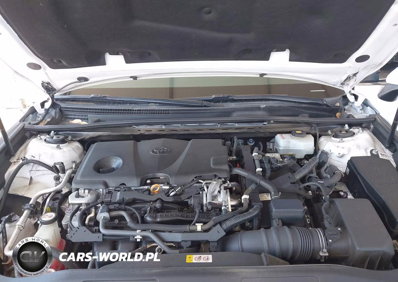 2020 Toyota Camry Se Hybrid VIN:4T1G31AK0LU012556 - 10