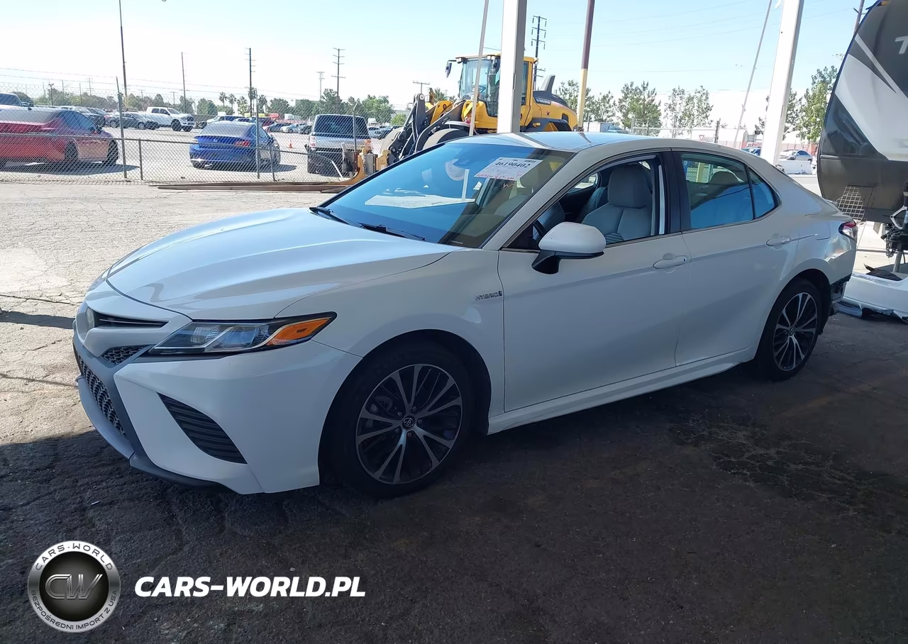 2020 Toyota Camry Se Hybrid VIN:4T1G31AK0LU012556 - 2