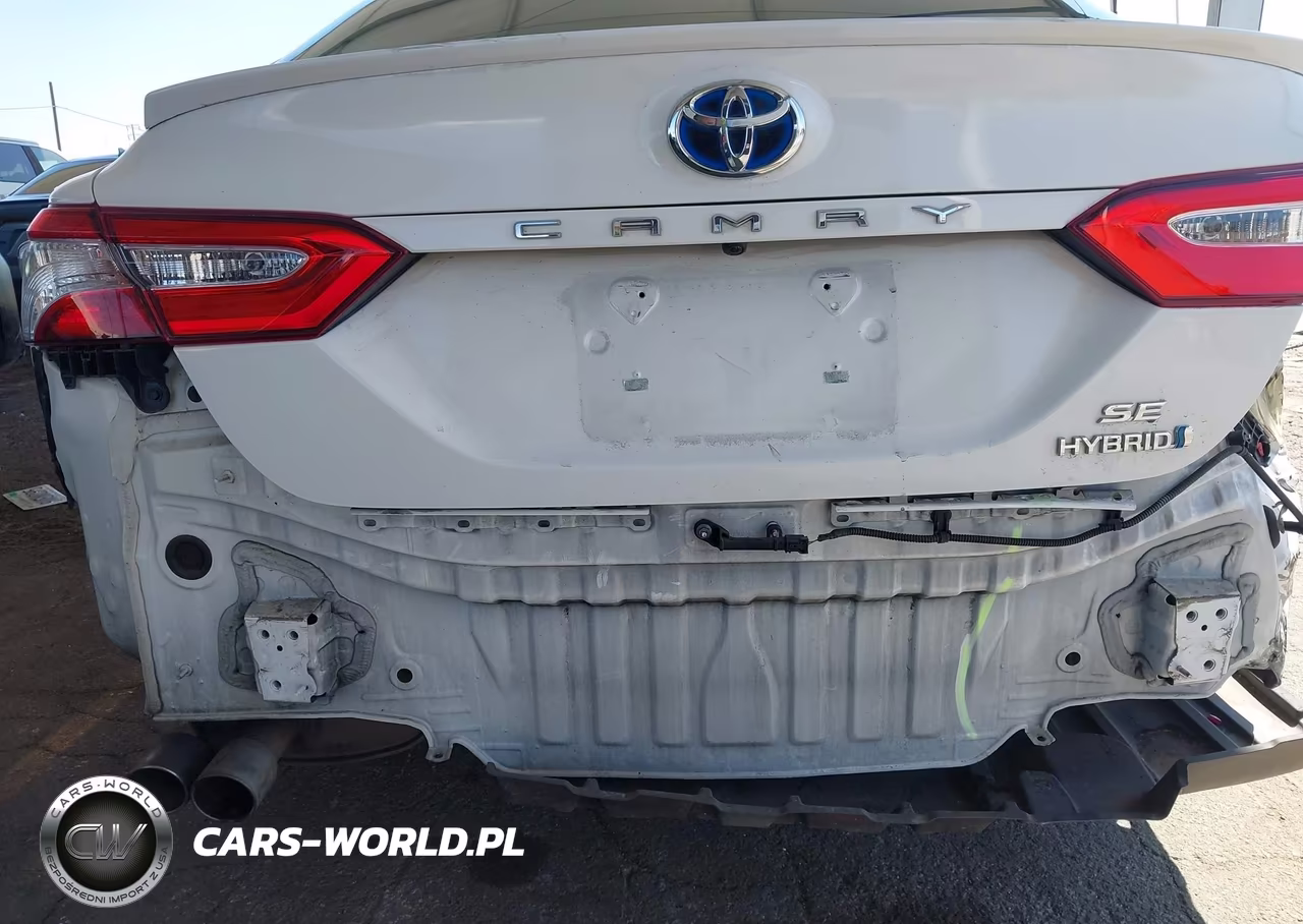 2020 Toyota Camry Se Hybrid VIN:4T1G31AK0LU012556 - 6