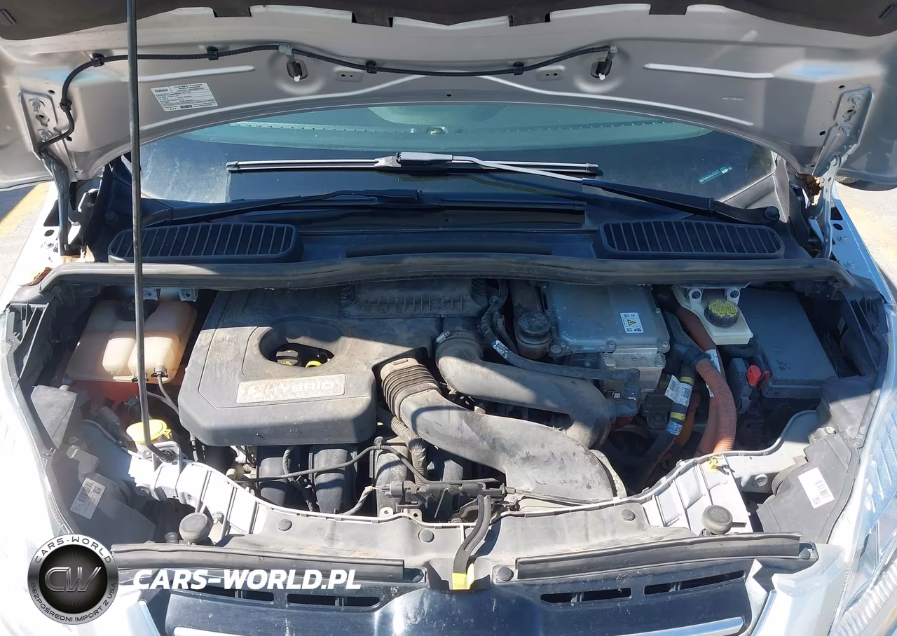 2017 Ford Cmax VIN:1FADP5AUXHL102692 - 10