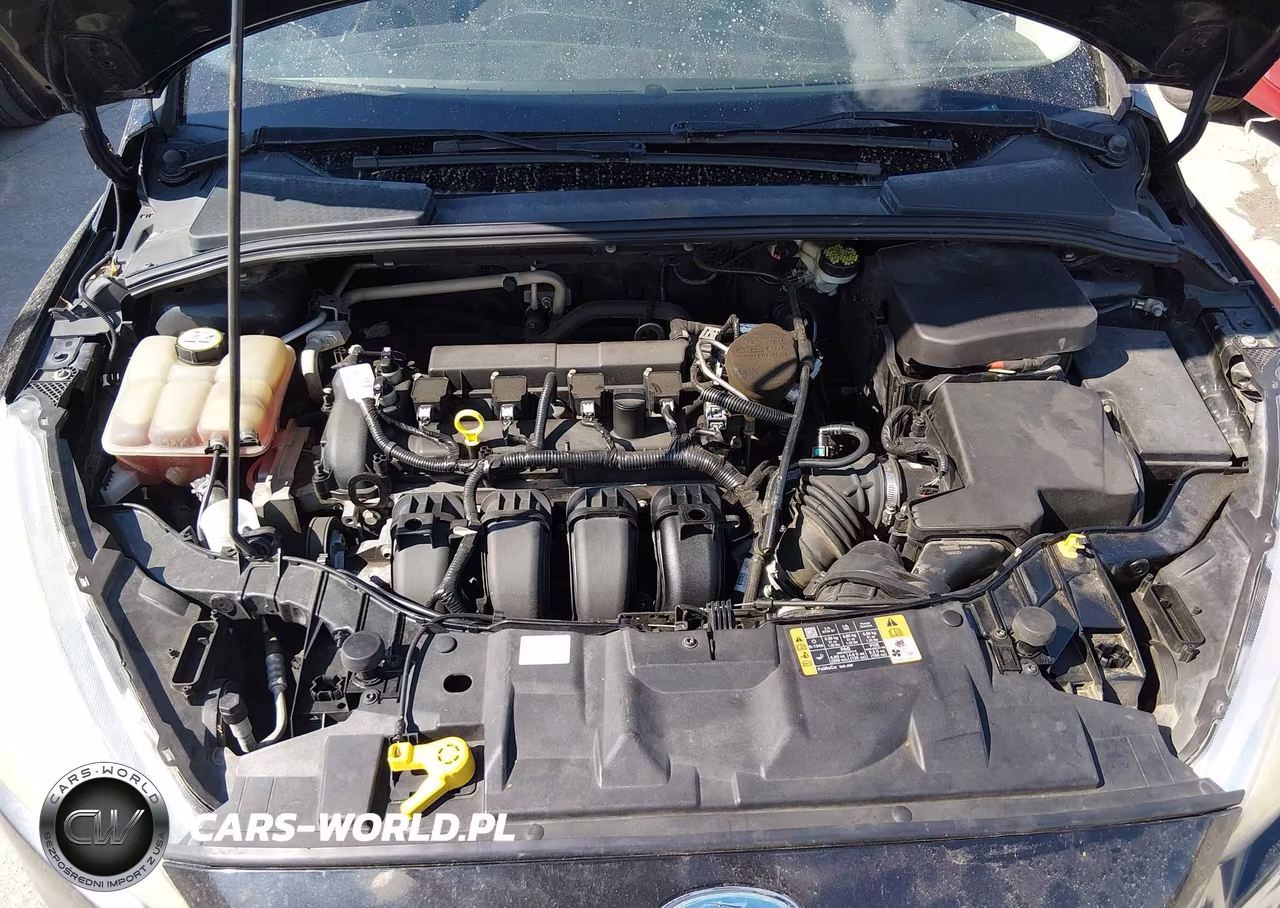 2015 Ford Focus Se VIN:1FADP3F24FL242889 - 10
