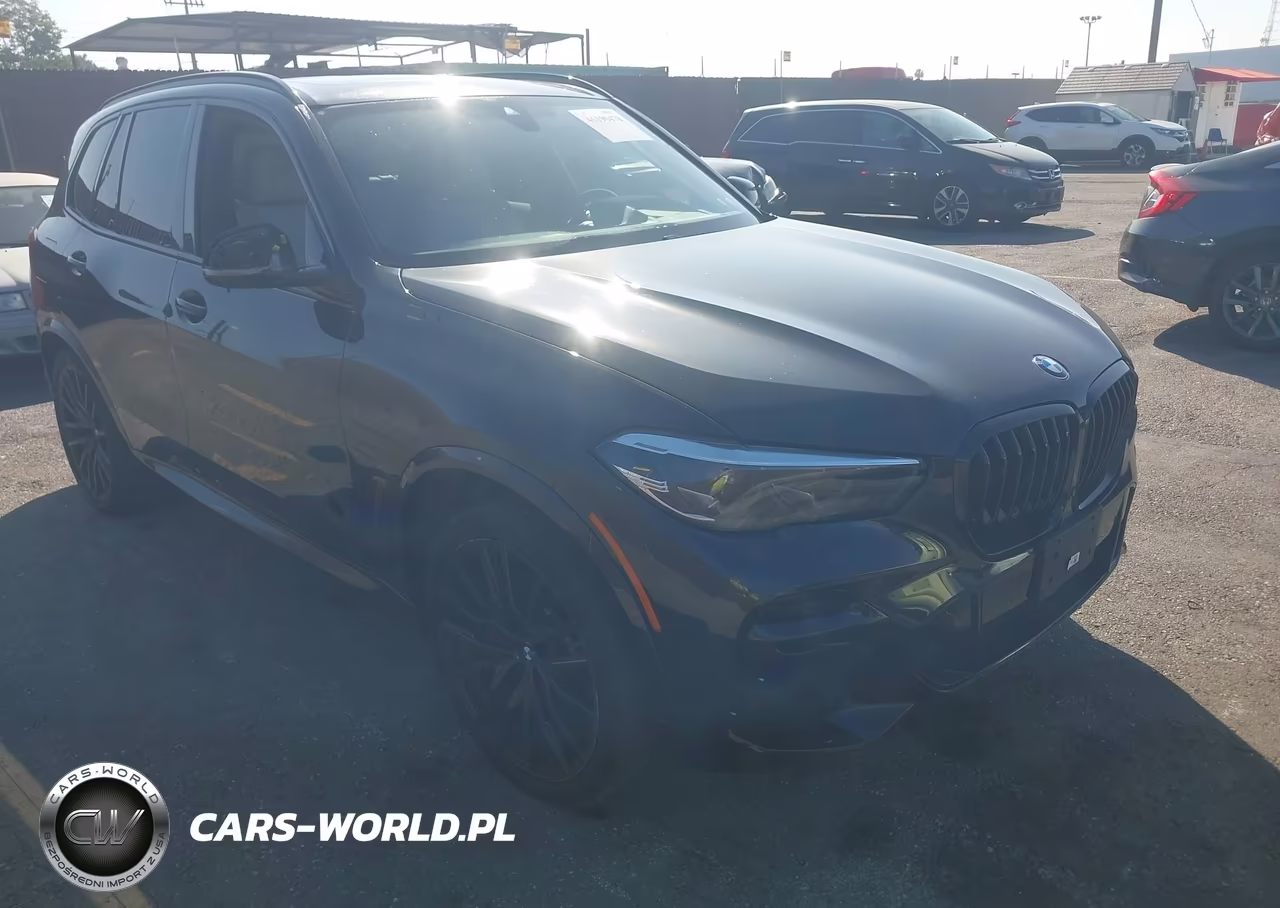 2023 BMW X5 Sdrive40I VIN:5UXCR4C07P9N50015 - 1