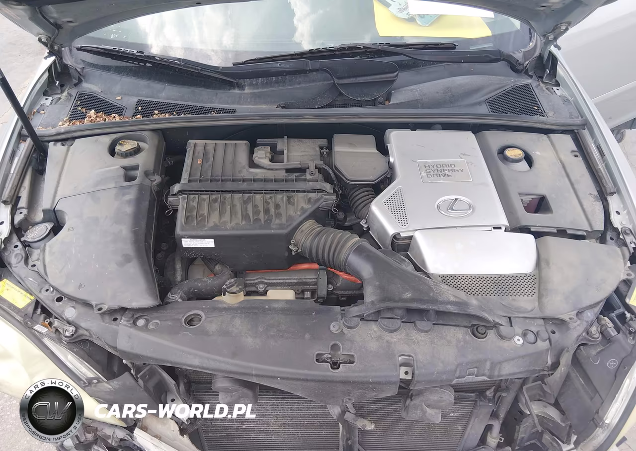 2006 Lexus Rx 400H VIN:JTJHW31U860045164 - 10