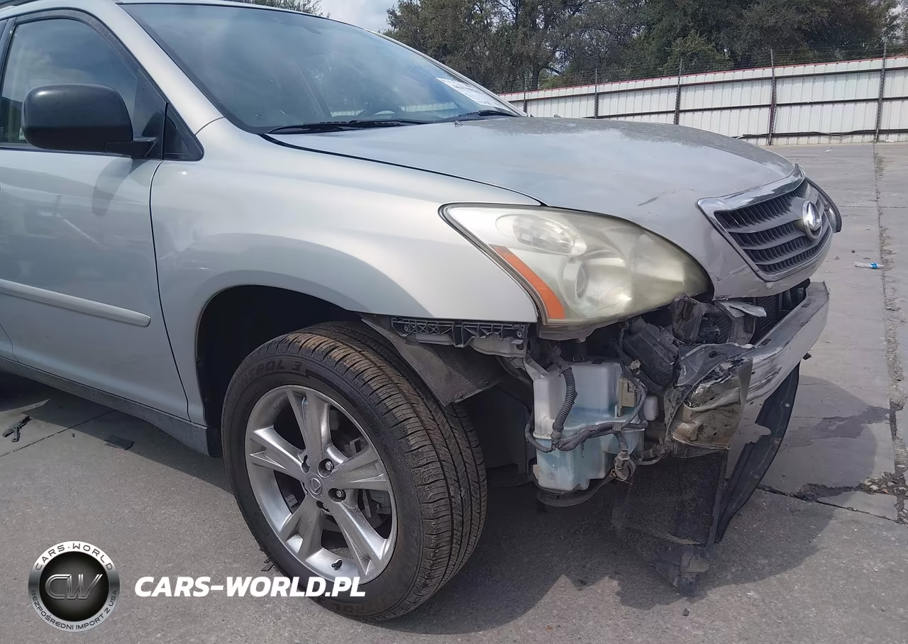 2006 Lexus Rx 400H VIN:JTJHW31U860045164 - 18