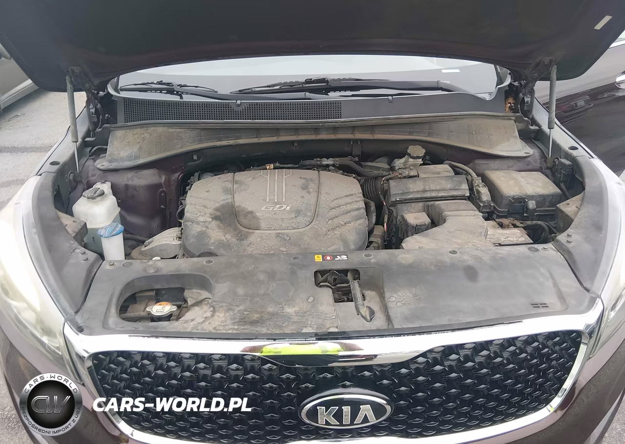 2016 Kia Sorento 3.3L Ex VIN:5XYPH4A50GG065220 - 10