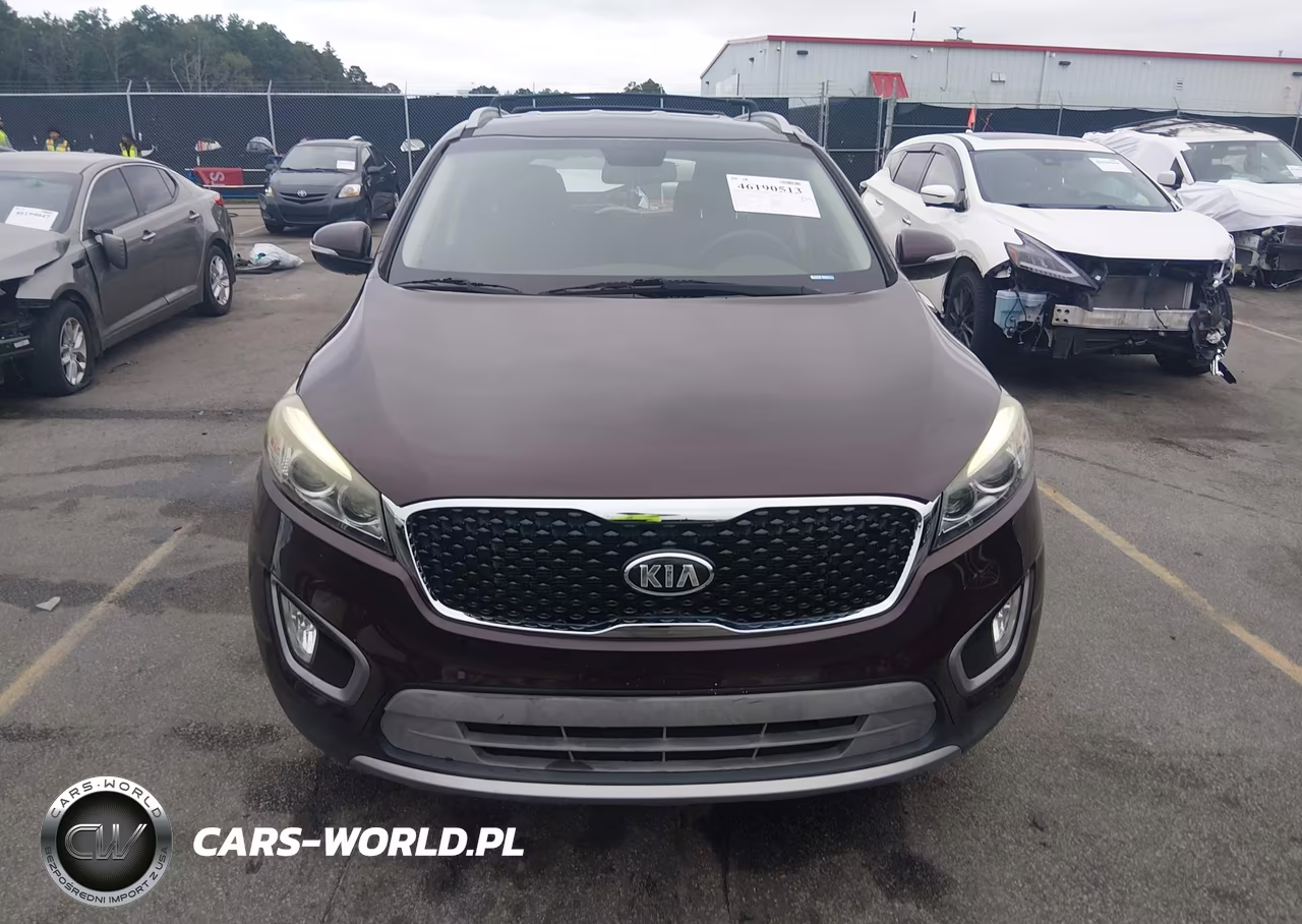 2016 Kia Sorento 3.3L Ex VIN:5XYPH4A50GG065220 - 12