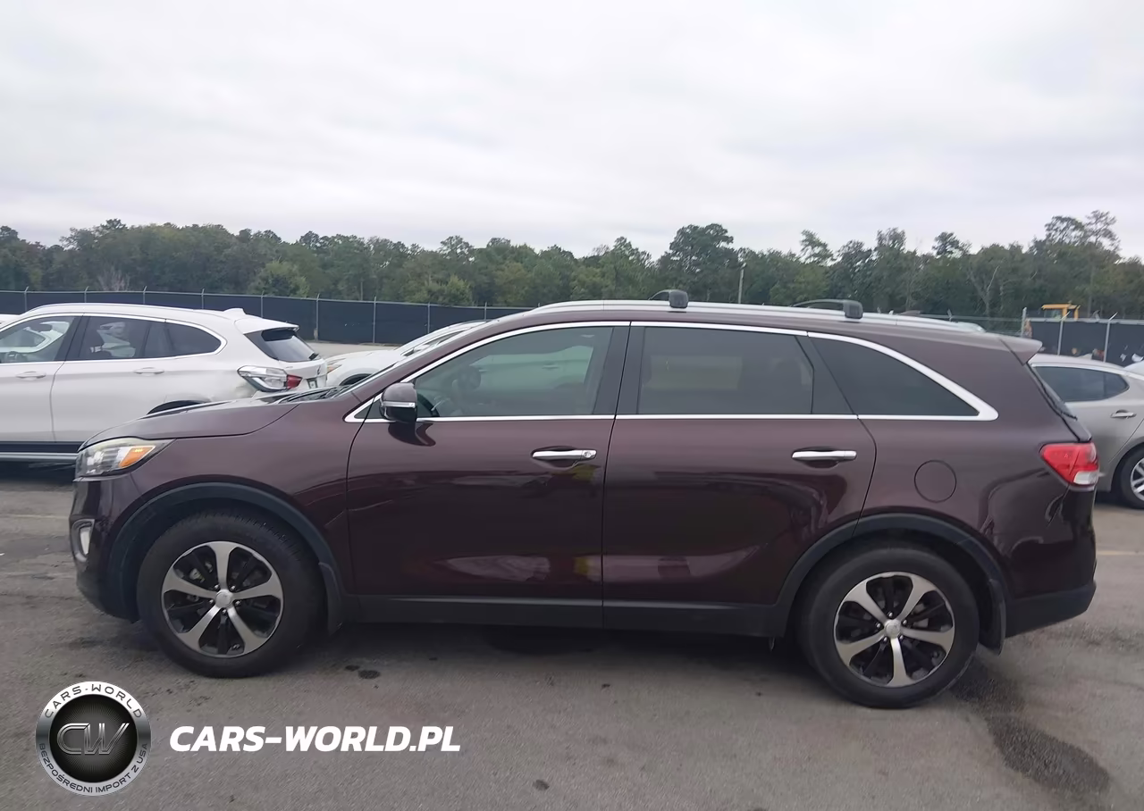 2016 Kia Sorento 3.3L Ex VIN:5XYPH4A50GG065220 - 14