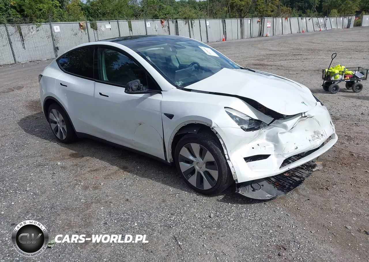 2020 Tesla Model Y Long Range Dual Motor All-Wheel Drive-Performance Dual Motor All-Wheel Drive VIN:5YJYGDEF4LF006098 - 1