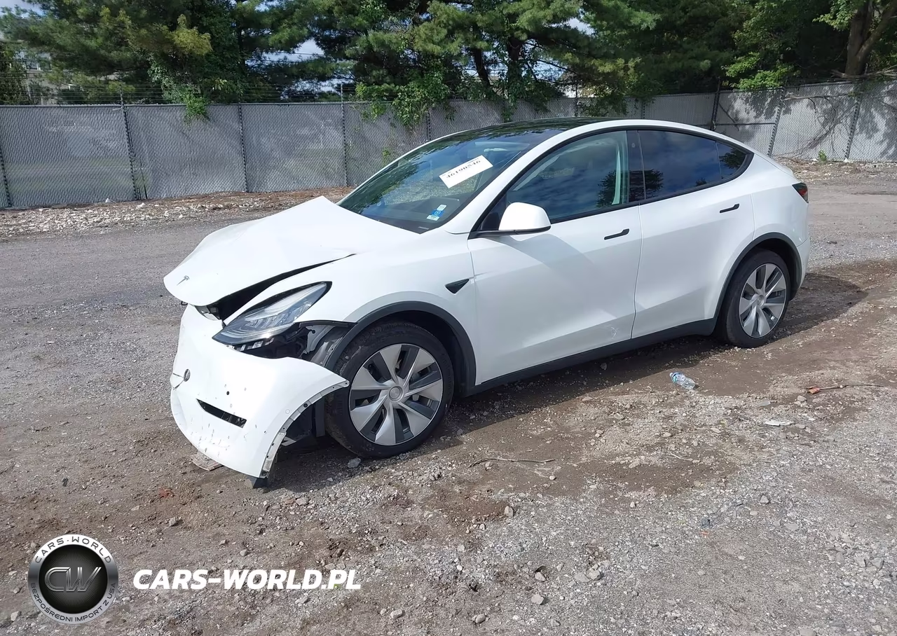 2020 Tesla Model Y Long Range Dual Motor All-Wheel Drive-Performance Dual Motor All-Wheel Drive VIN:5YJYGDEF4LF006098 - 2