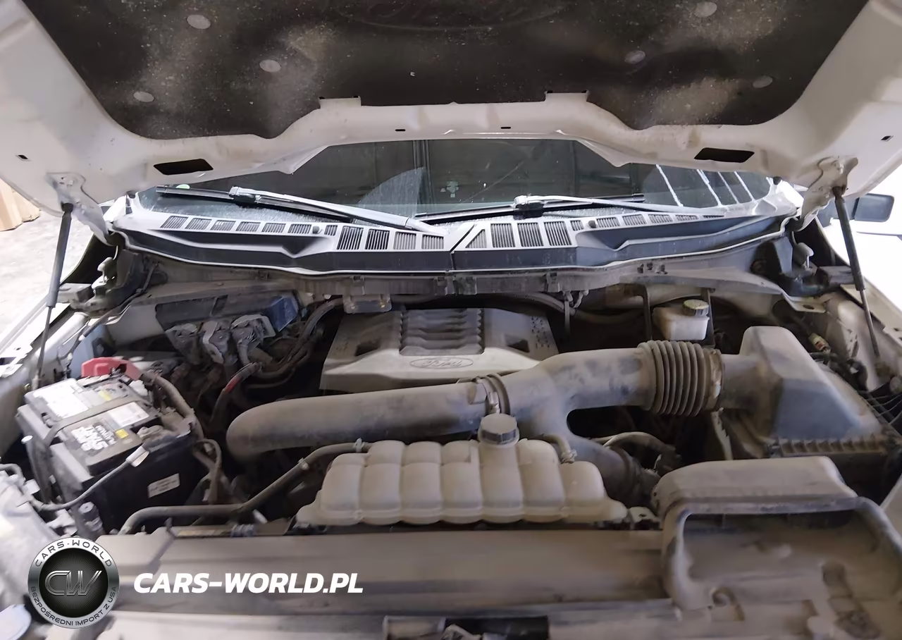 2021 Ford F-150 Limited VIN:1FTFW1E87MFA47039 - 10