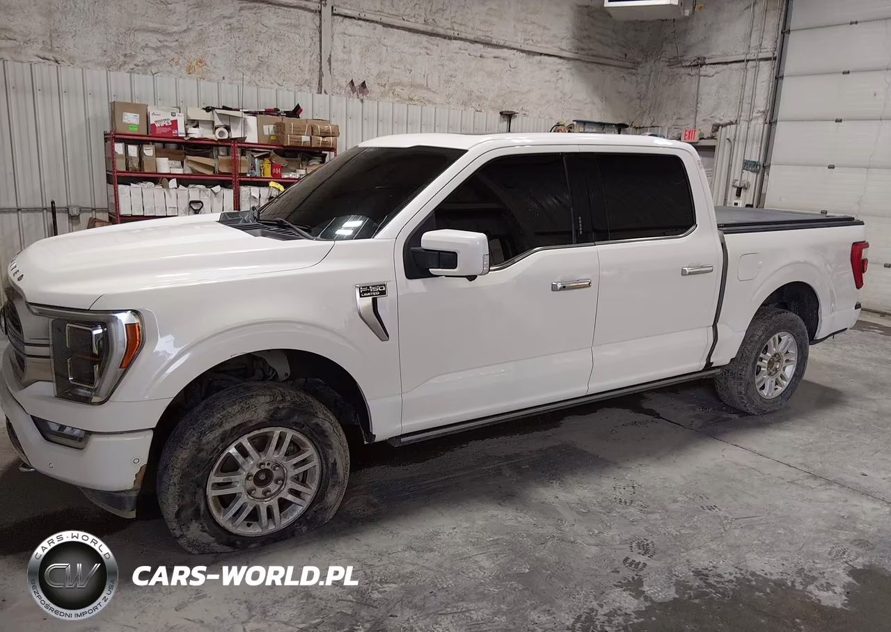 2021 Ford F-150 Limited VIN:1FTFW1E87MFA47039 - 14