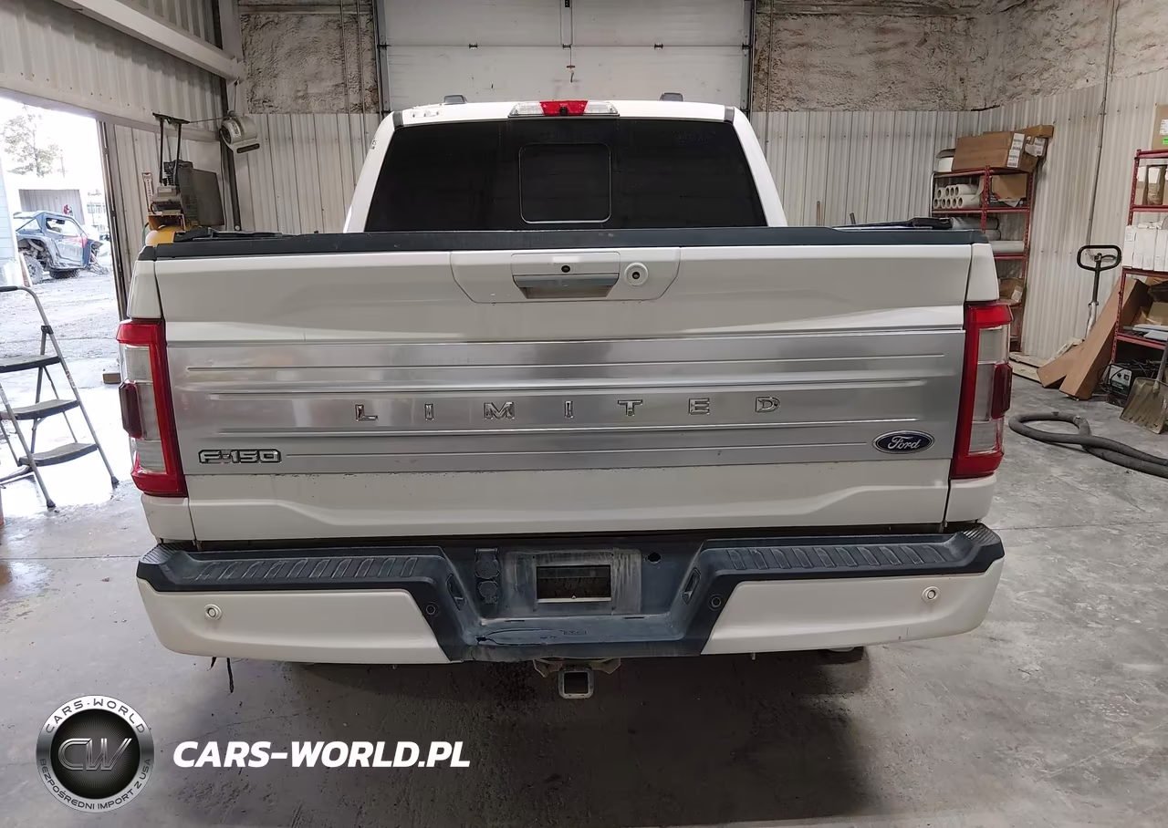 2021 Ford F-150 Limited VIN:1FTFW1E87MFA47039 - 16