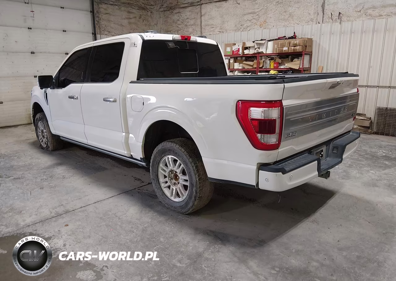 2021 Ford F-150 Limited VIN:1FTFW1E87MFA47039 - 3