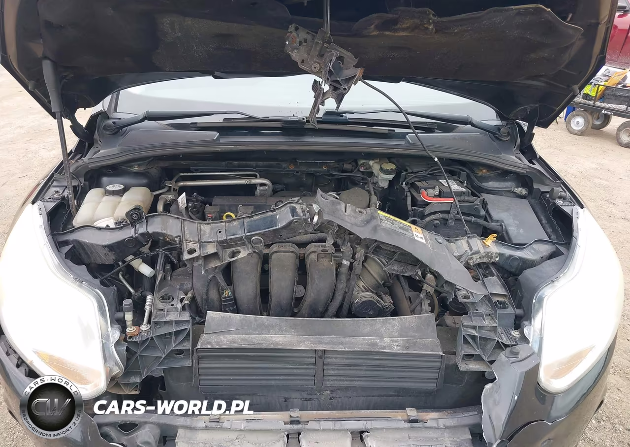 2013 Ford Focus Se VIN:1FADP3F29DL283094 - 10