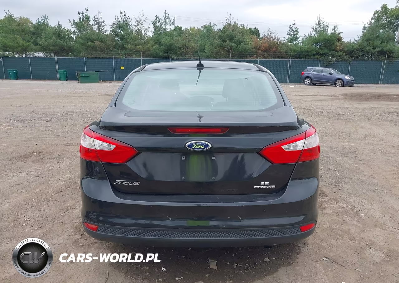 2013 Ford Focus Se VIN:1FADP3F29DL283094 - 17