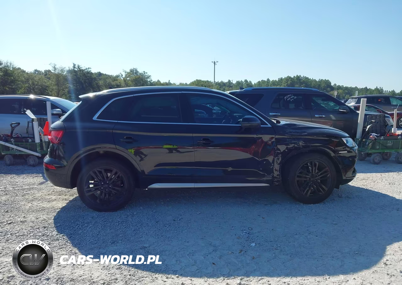 2020 Audi Q5 Premium Plus 45 Tfsi Quattro S Tronic VIN:WA1BNAFY7L2090568 - 13