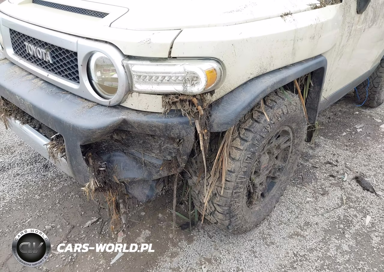 2008 Toyota Fj Cruiser VIN:JTEBU11FX8K033749 - 6
