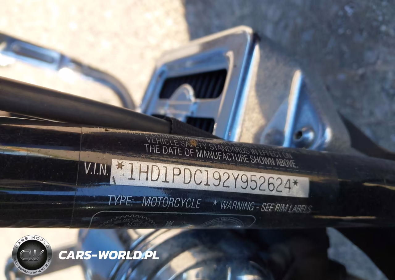 2002 Harley-Davidson Flhrsei VIN:1HD1PDC192Y952624 - 10