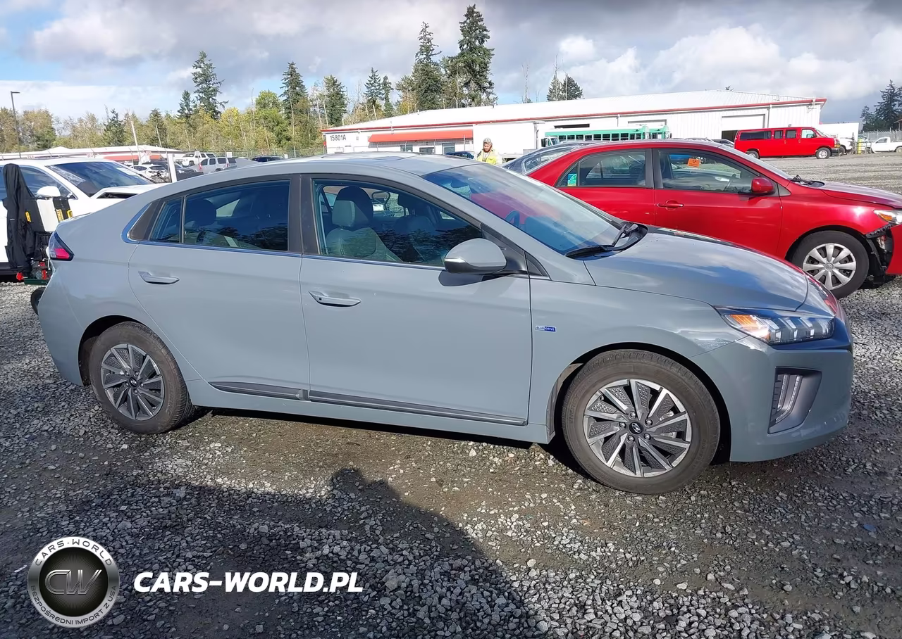 2020 Hyundai Ioniq Electric Limited VIN:KMHC85LJ4LU076448 - 13