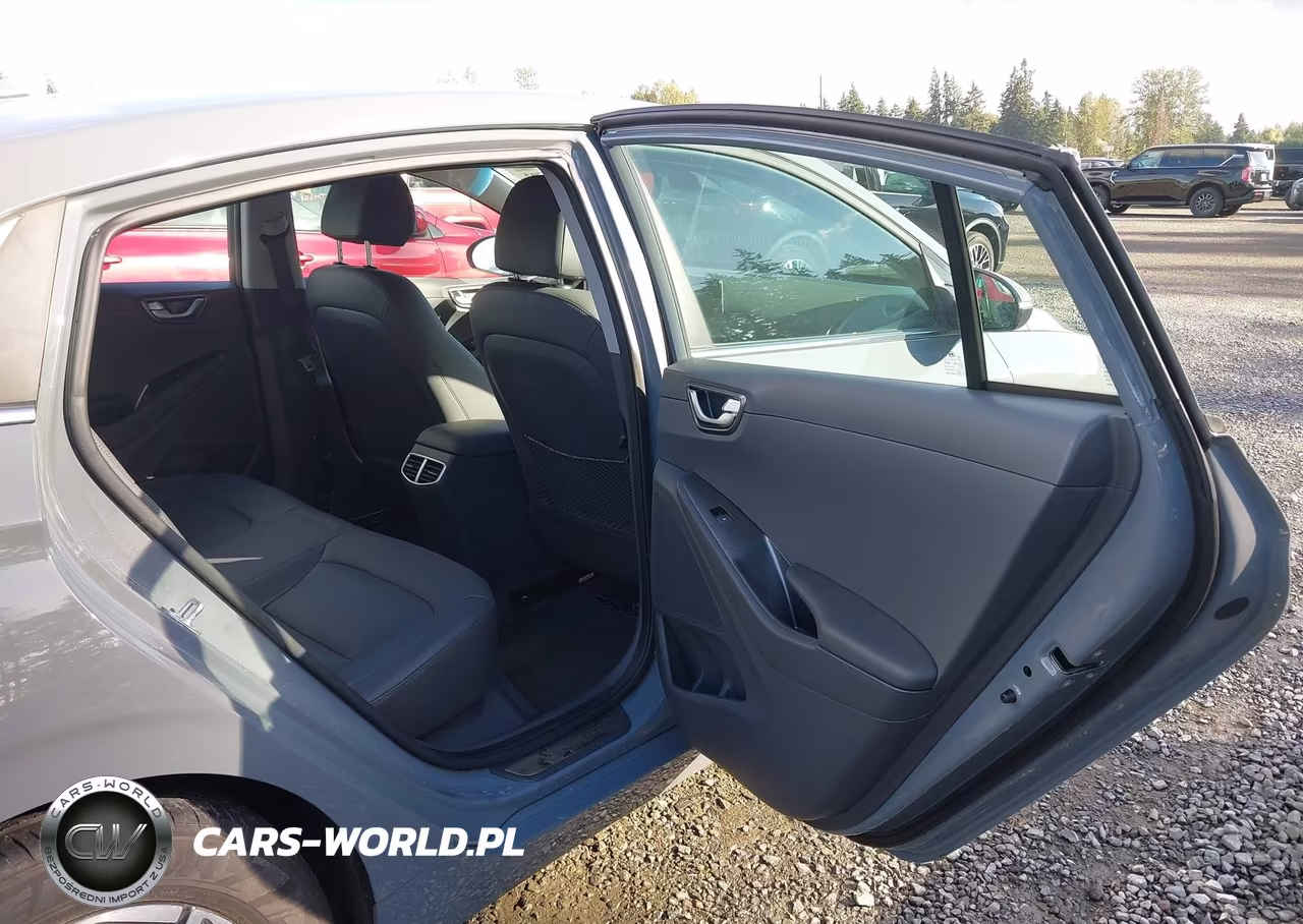 2020 Hyundai Ioniq Electric Limited VIN:KMHC85LJ4LU076448 - 8