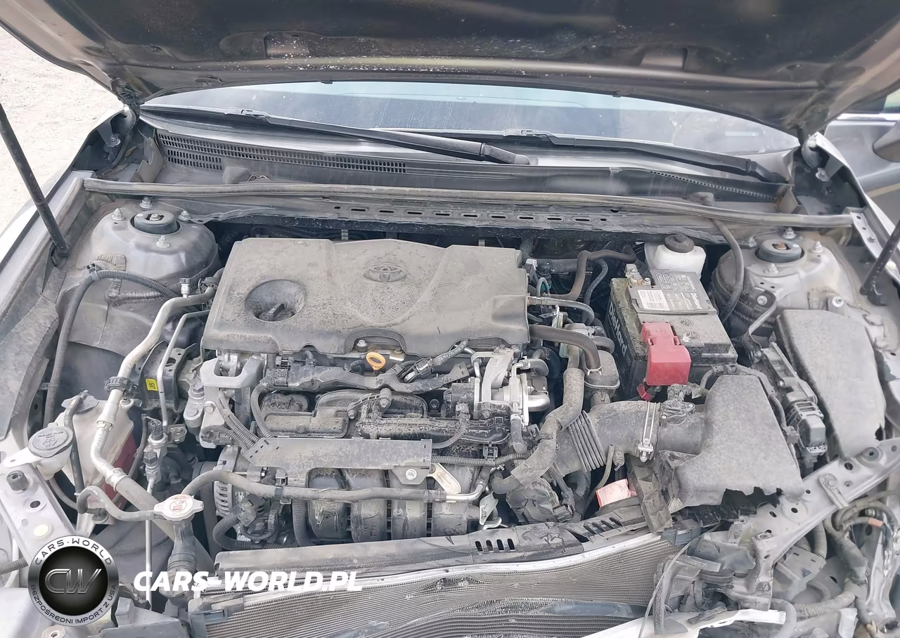 2020 Toyota Camry Le VIN:4T1C11AK4LU335626 - 10