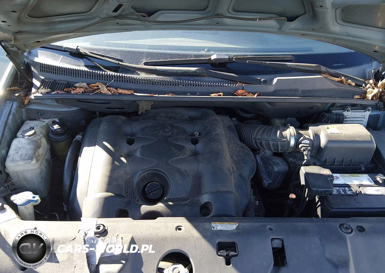 2009 Kia Sedona Lx VIN:KNDMB233396309419 - 10