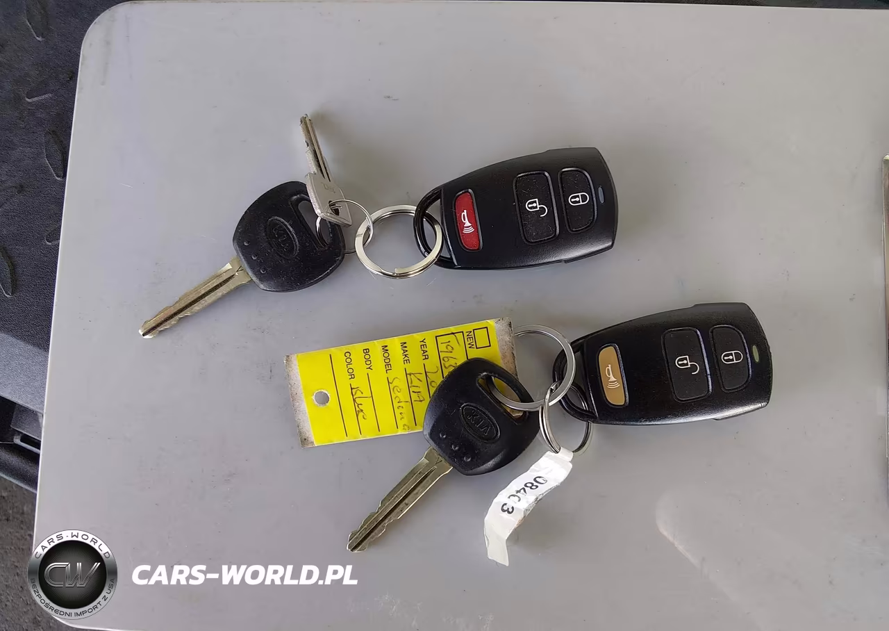2009 Kia Sedona Lx VIN:KNDMB233396309419 - 11