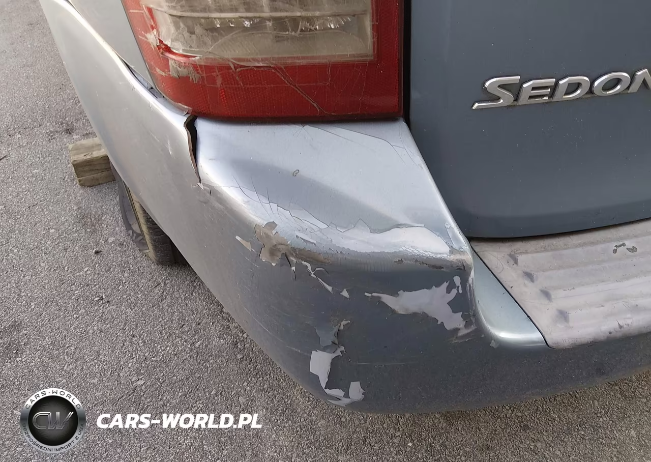 2009 Kia Sedona Lx VIN:KNDMB233396309419 - 6