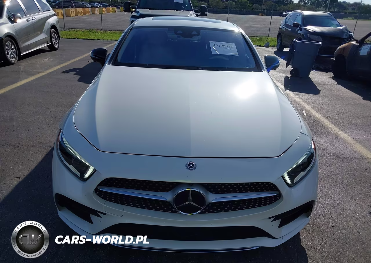 2019 Mercedes-Benz Cls 450 4Matic VIN:WDD2J5KB2KA019542 - 12
