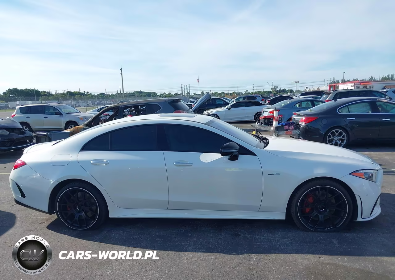 2019 Mercedes-Benz Cls 450 4Matic VIN:WDD2J5KB2KA019542 - 13