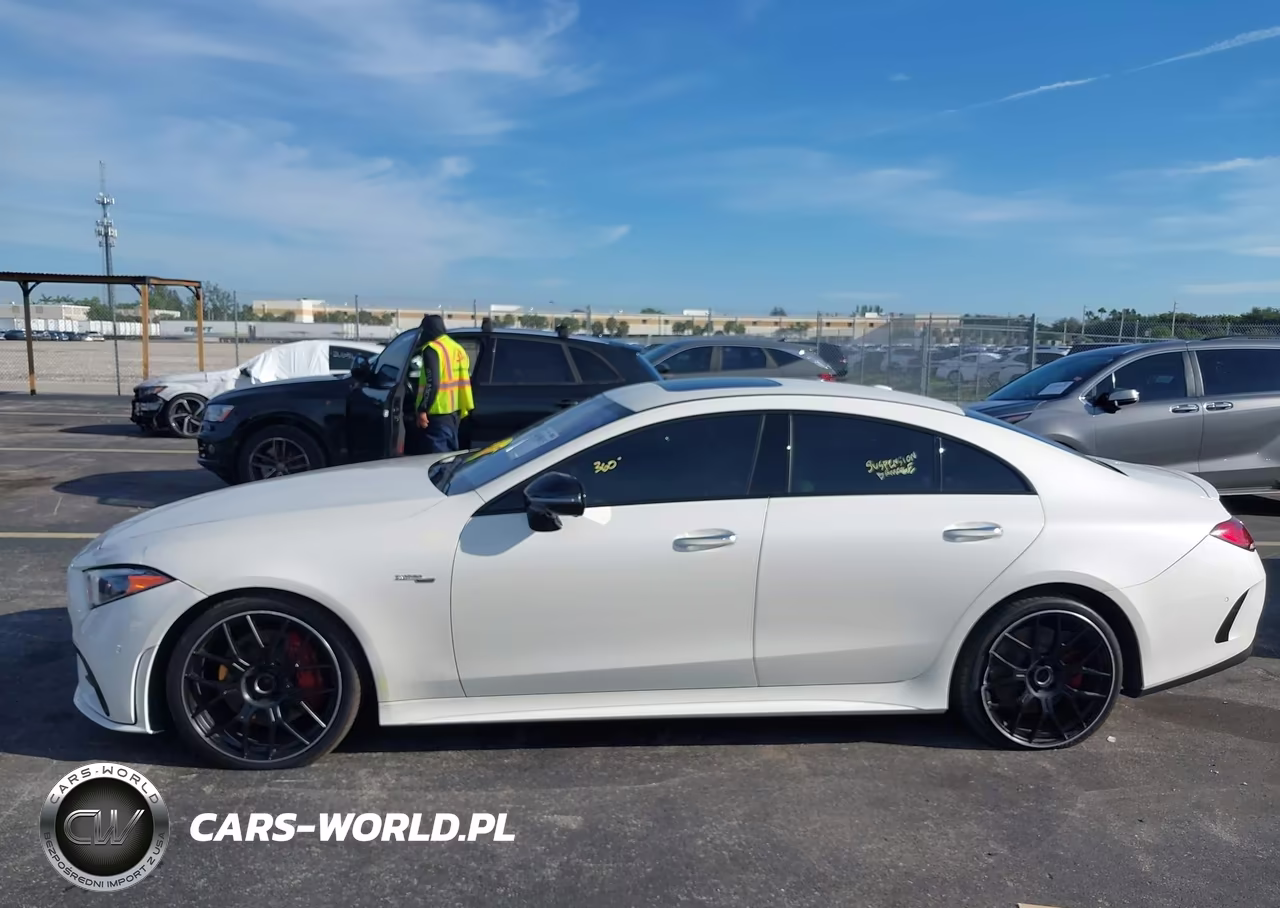 2019 Mercedes-Benz Cls 450 4Matic VIN:WDD2J5KB2KA019542 - 14