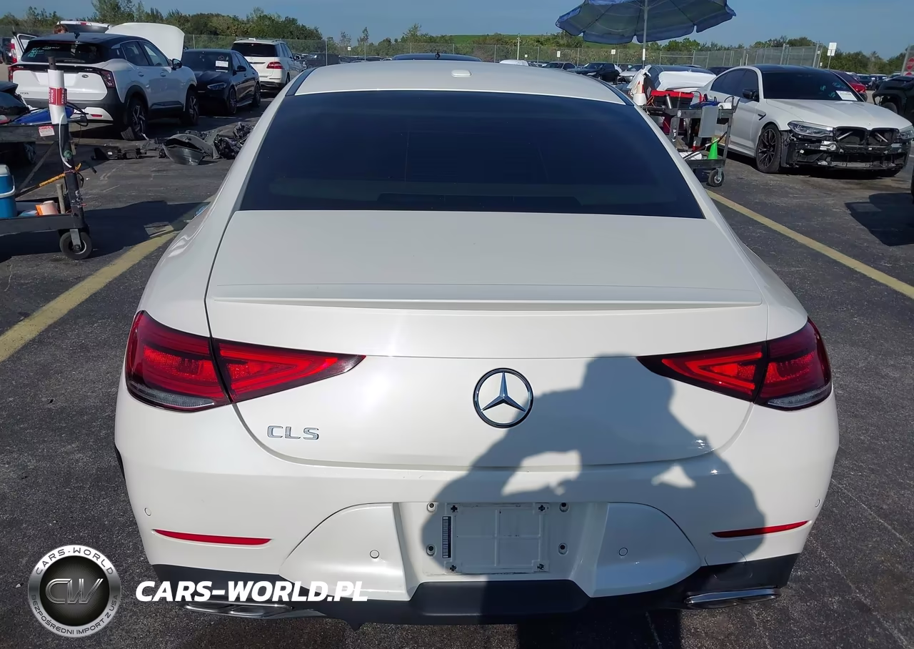 2019 Mercedes-Benz Cls 450 4Matic VIN:WDD2J5KB2KA019542 - 16