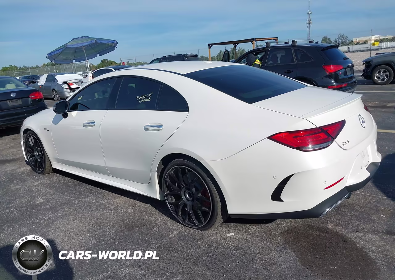2019 Mercedes-Benz Cls 450 4Matic VIN:WDD2J5KB2KA019542 - 3