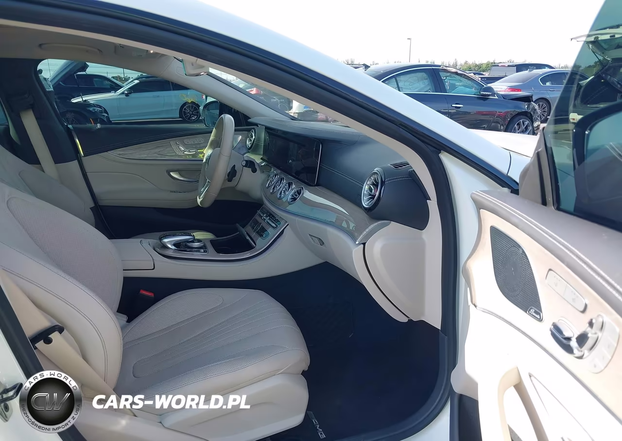 2019 Mercedes-Benz Cls 450 4Matic VIN:WDD2J5KB2KA019542 - 5