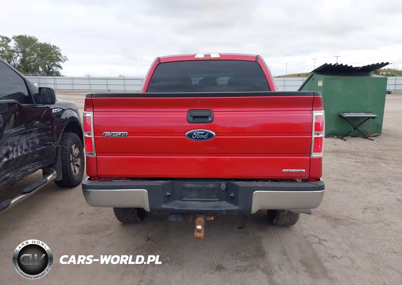 2012 Ford F-150 Xlt VIN:1FTFW1EF1CFC79066 - 16