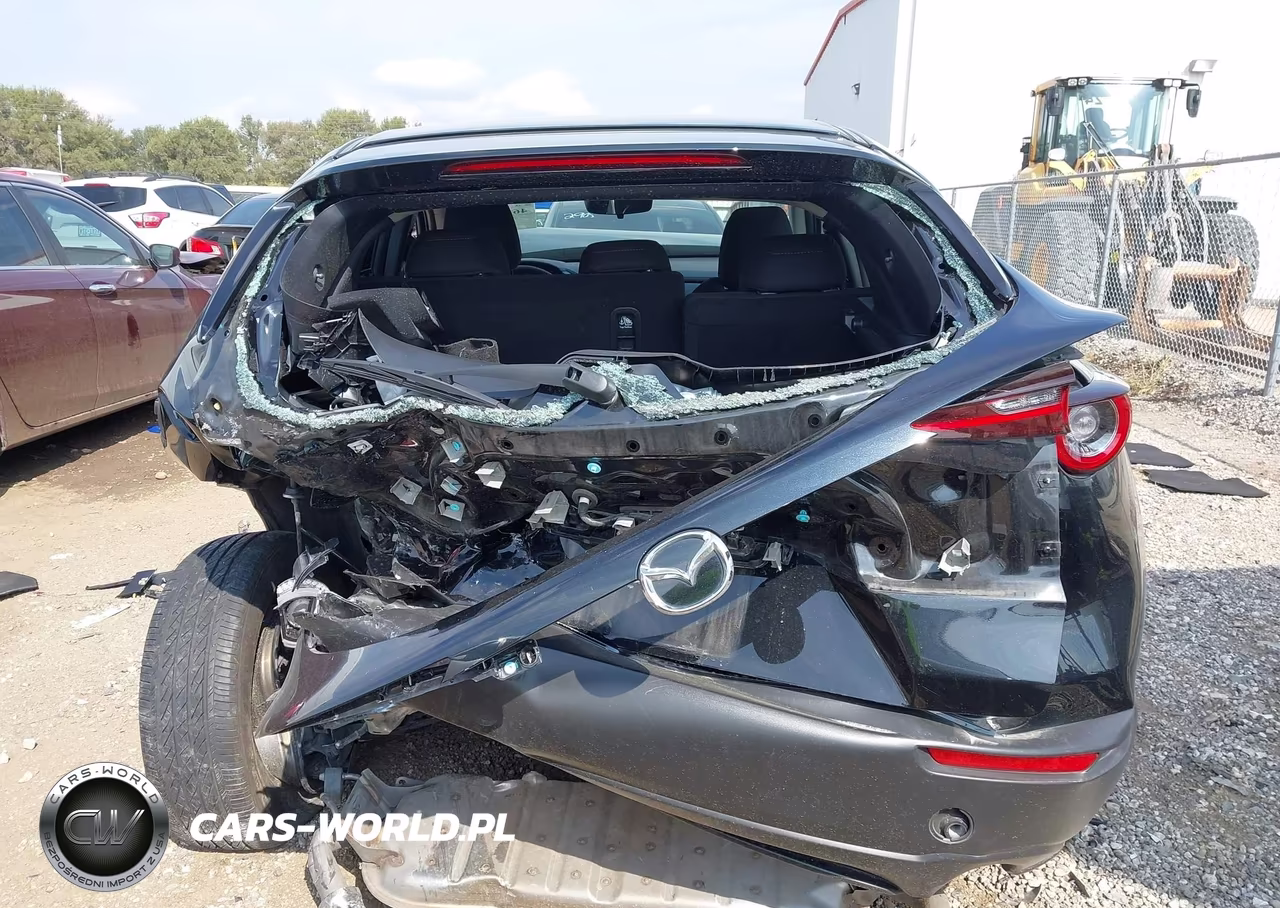 2024 Mazda Cx-30 2.5 S VIN:3MVDMBAM6RM699081 - 15
