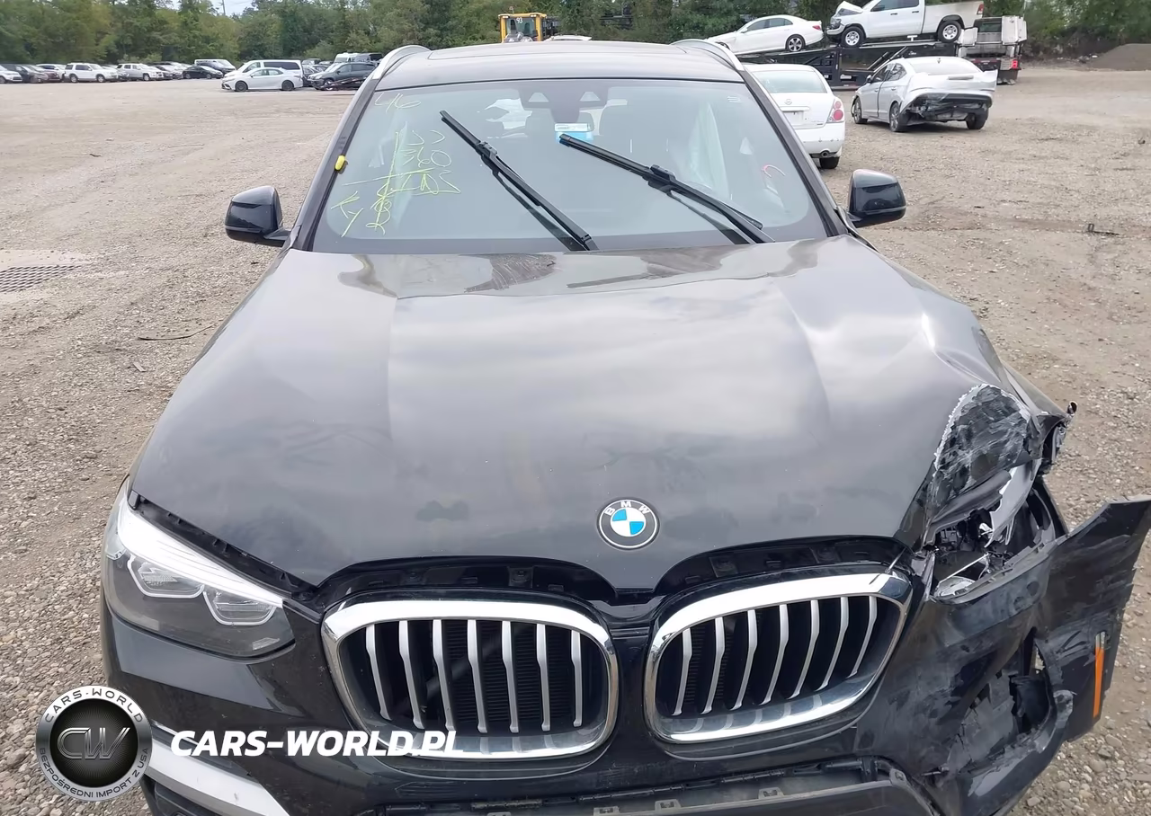 2019 BMW X3 Sdrive30I VIN:5UXTR7C56KLF26932 - 12