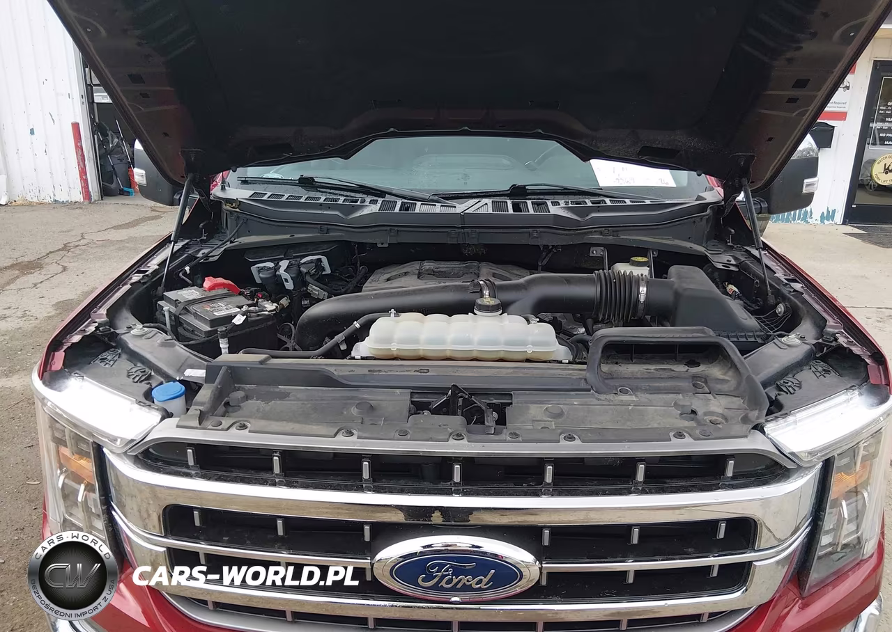 2021 Ford F-150 Lariat VIN:1FTFW1E89MKD16763 - 10