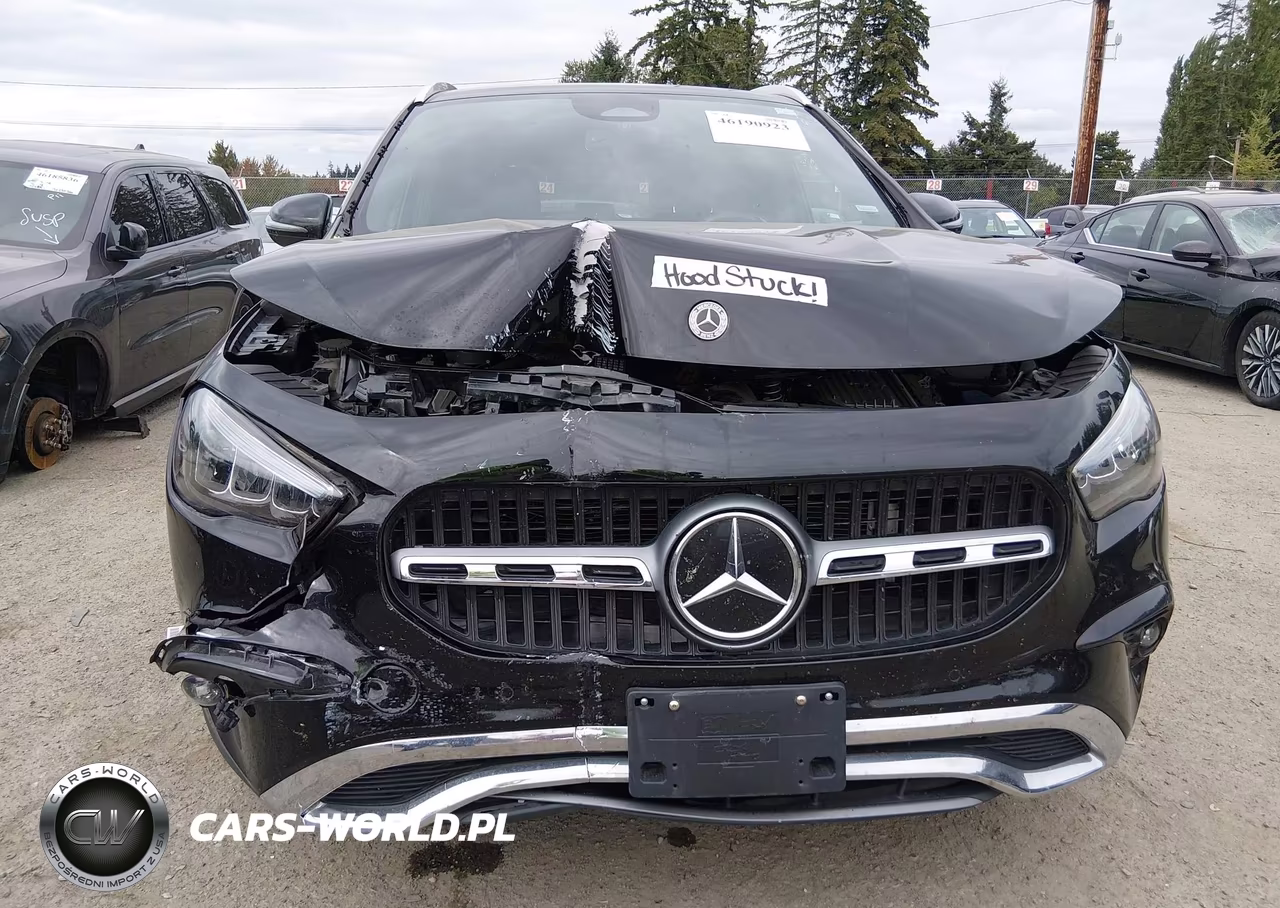 2025 Mercedes-Benz Gla 250 4Matic VIN:W1N4N4HB1SJ641017 - 11