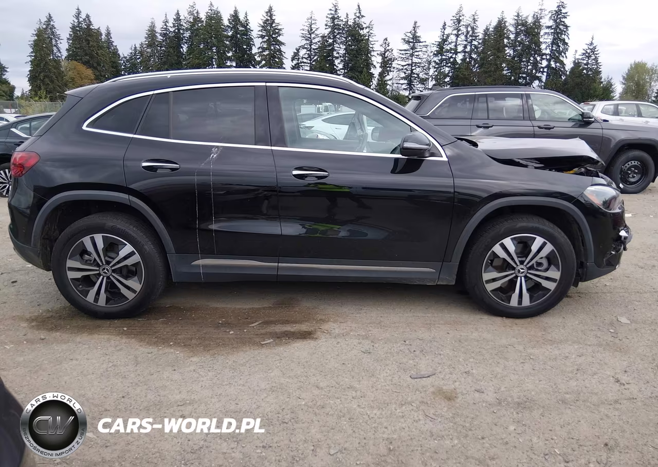 2025 Mercedes-Benz Gla 250 4Matic VIN:W1N4N4HB1SJ641017 - 12