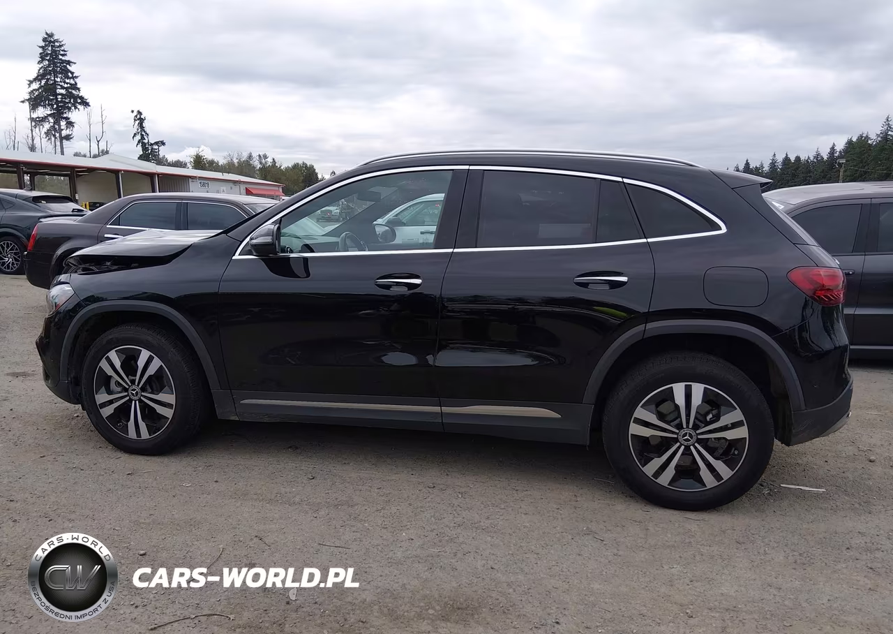 2025 Mercedes-Benz Gla 250 4Matic VIN:W1N4N4HB1SJ641017 - 13