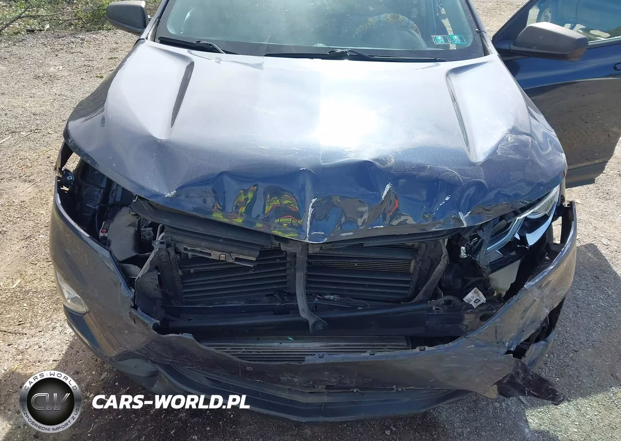 2019 Chevrolet Equinox Ls VIN:3GNAXHEVXKL237272 - 10