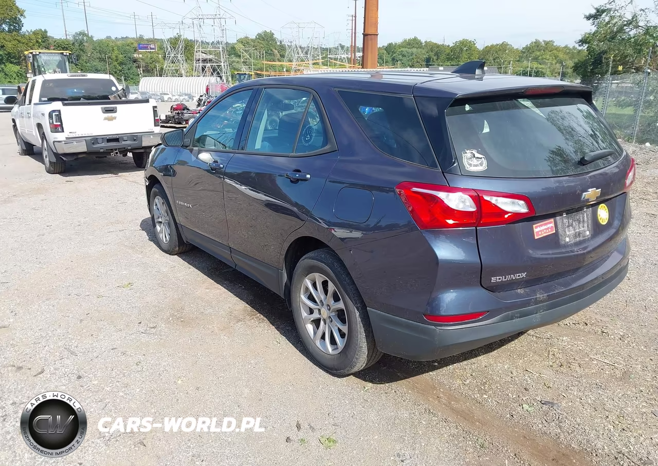 2019 Chevrolet Equinox Ls VIN:3GNAXHEVXKL237272 - 3