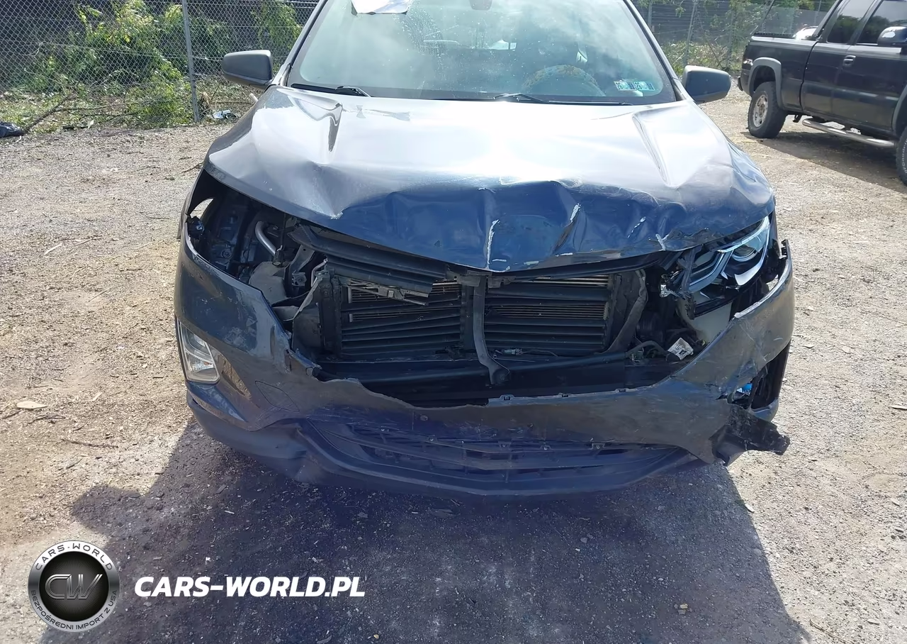 2019 Chevrolet Equinox Ls VIN:3GNAXHEVXKL237272 - 6