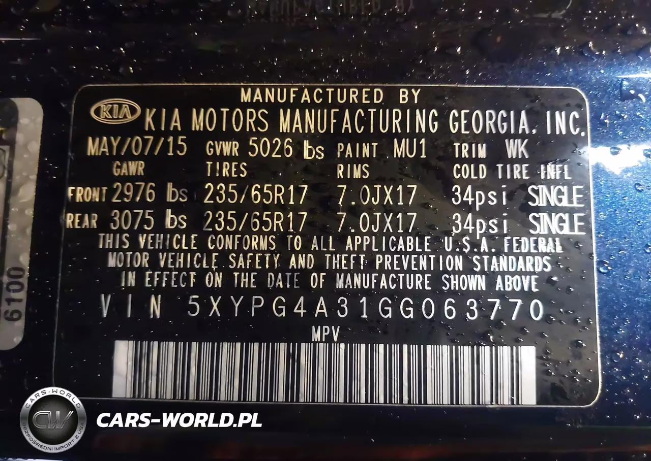 2016 Kia Sorento Lx VIN:5XYPG4A31GG063770 - 9