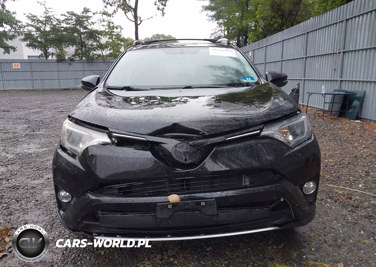 2016 Toyota Rav4 Xle VIN:2T3RFREV2GW489506 - 12