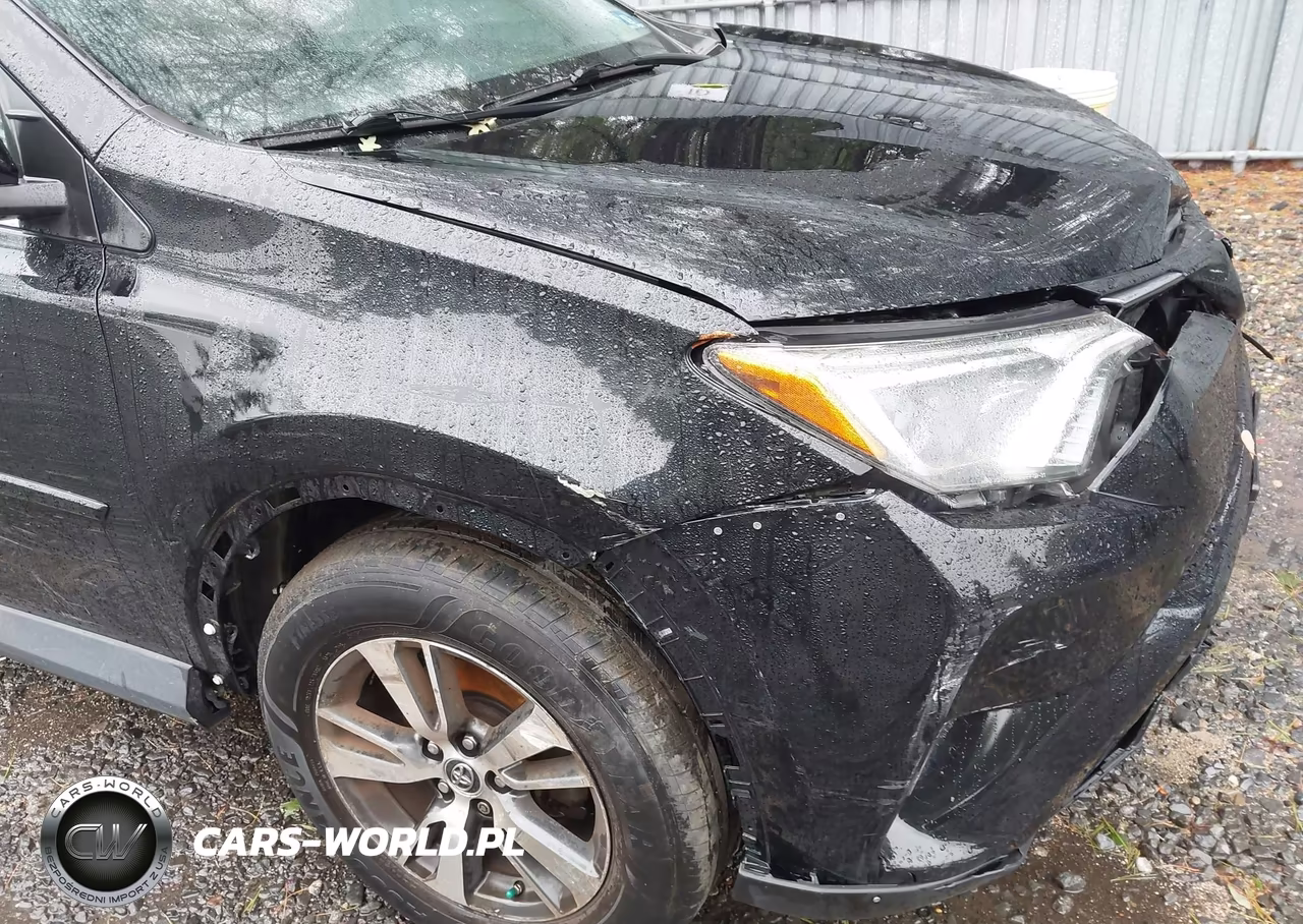2016 Toyota Rav4 Xle VIN:2T3RFREV2GW489506 - 17