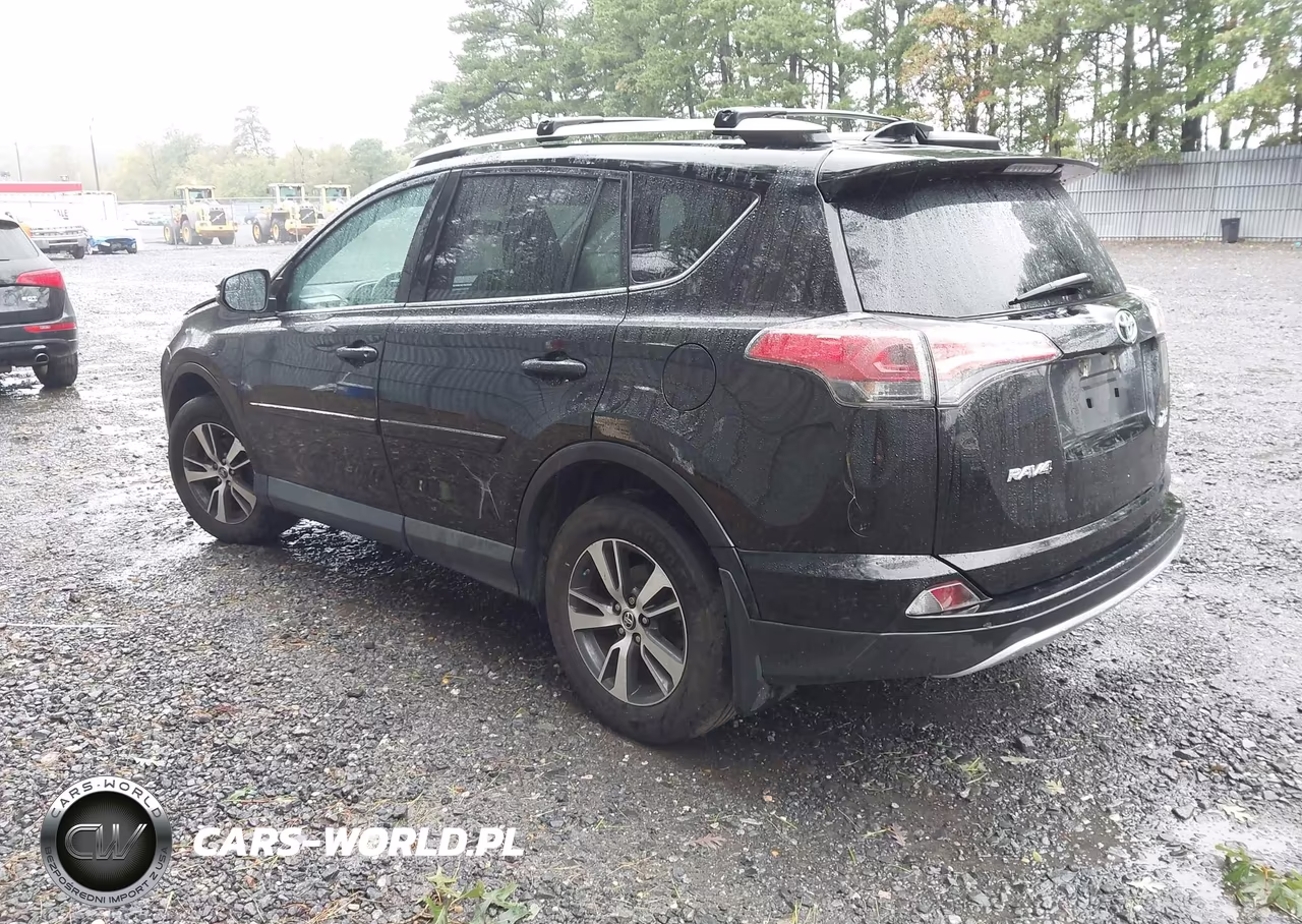 2016 Toyota Rav4 Xle VIN:2T3RFREV2GW489506 - 3