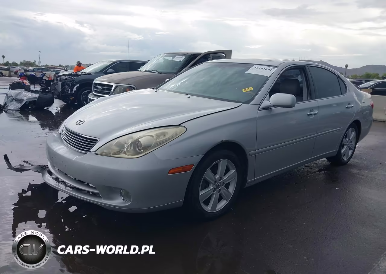 2005 Lexus Es 330 VIN:JTHBA30GX55057920 - 2